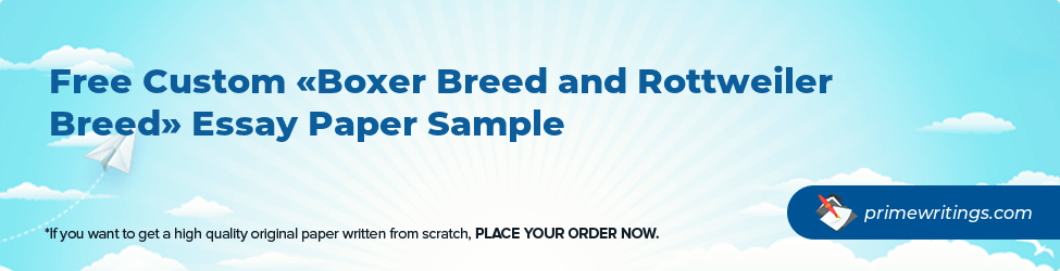 Boxer Breed and Rottweiler Breed