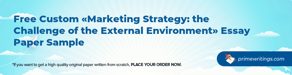 Marketing Strategy: the Challenge of the External Environment