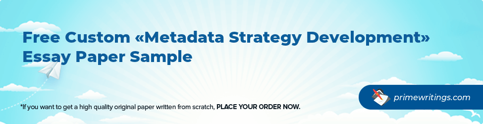 Metadata Strategy Development